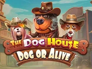 The Dog House - Dog Or Alive icon